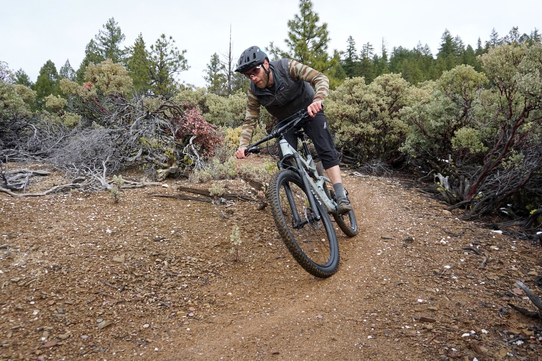 MTBR Review: Hob Goblin 29